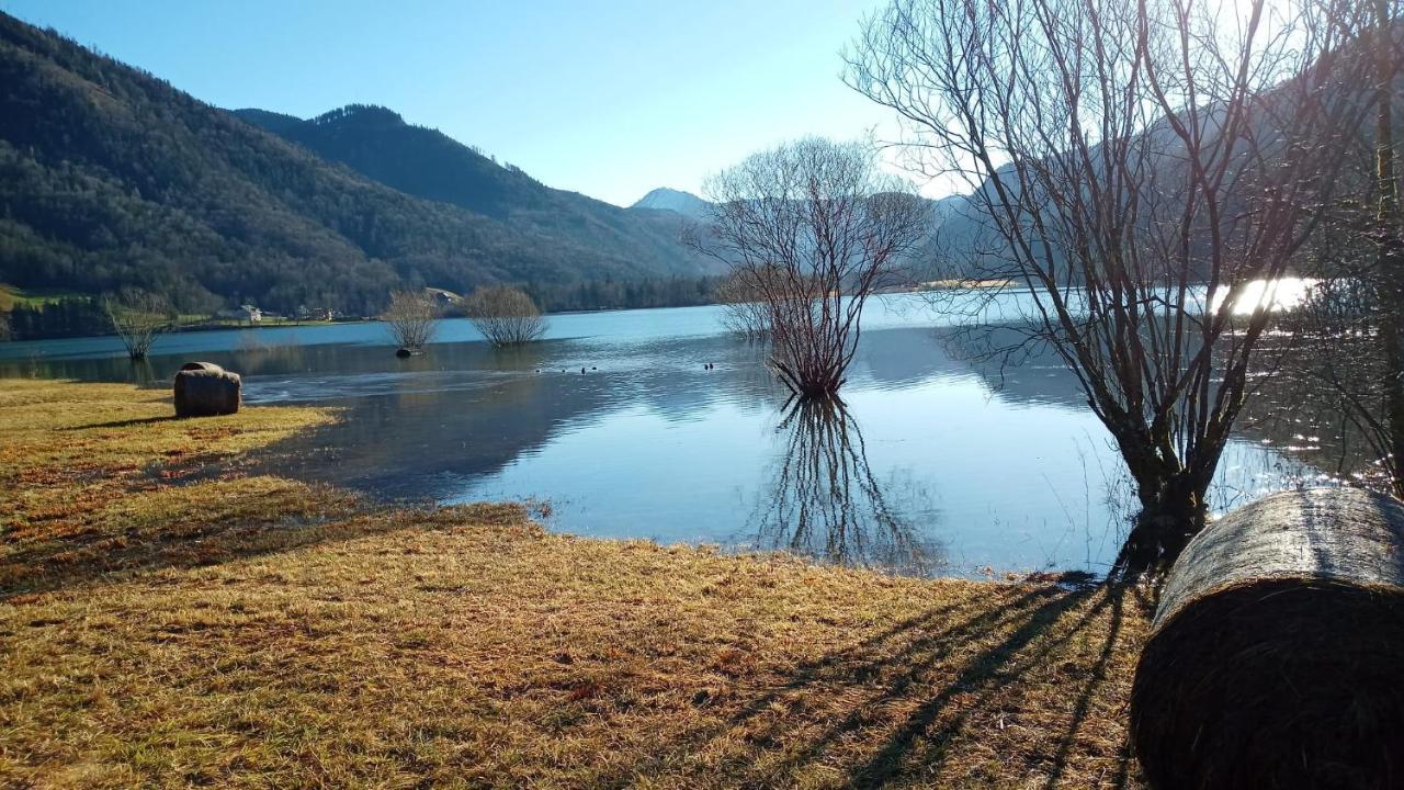Good Times @ Salzburg Villa Koppl ภายนอก รูปภาพ